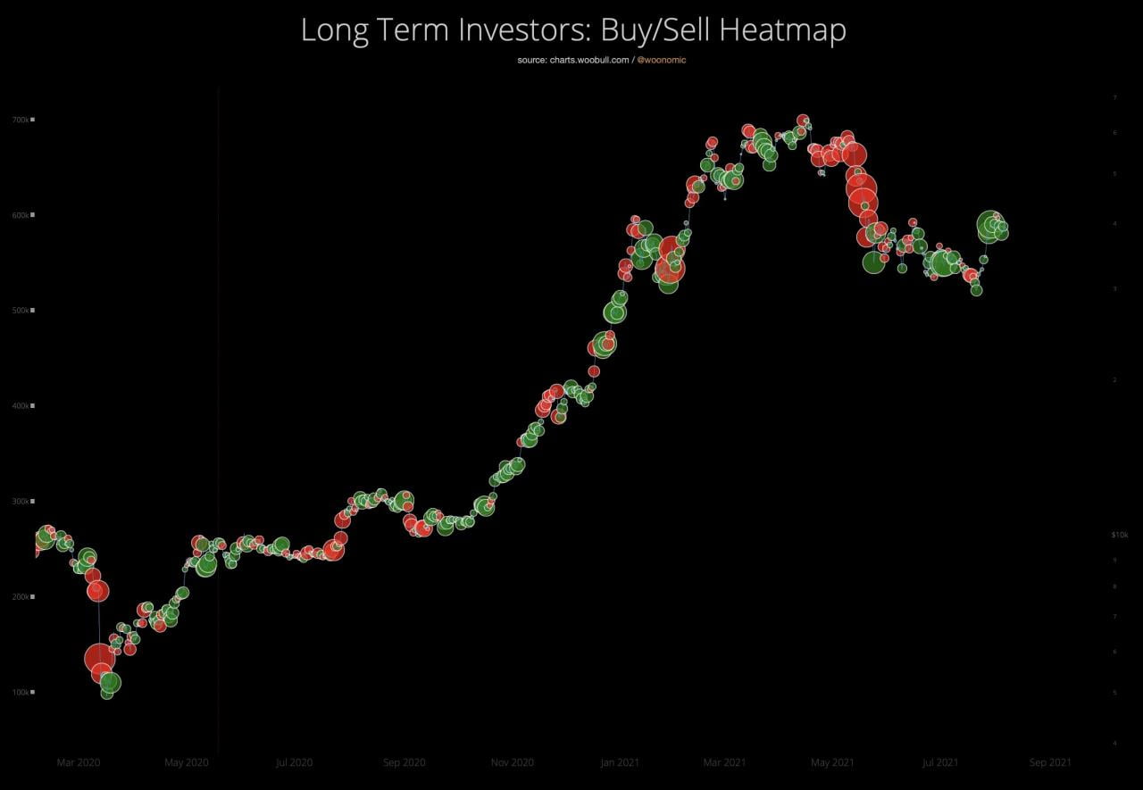 hodler 活动表明，比特币可能即将突破 42,000 美元