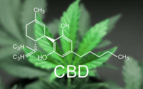 BlueCo：让你感受到禅意的令牌……