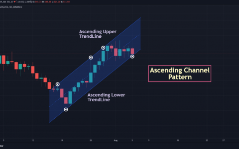 2021 年比特币现金价格预测 – BCH 价格会在 2021 年达到 1000 美元以上吗？