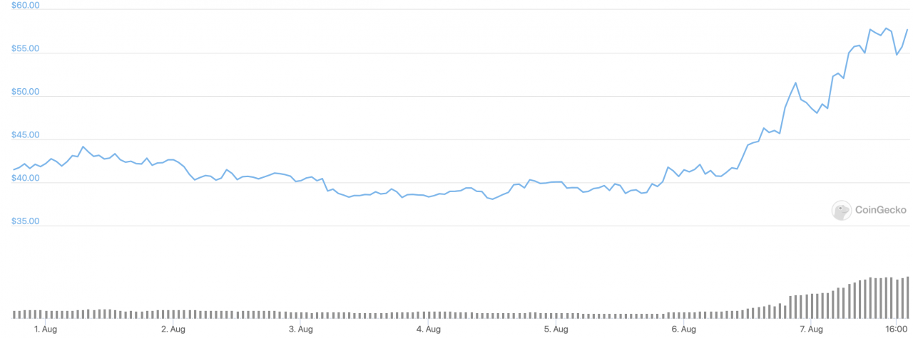 互联网计算机美元