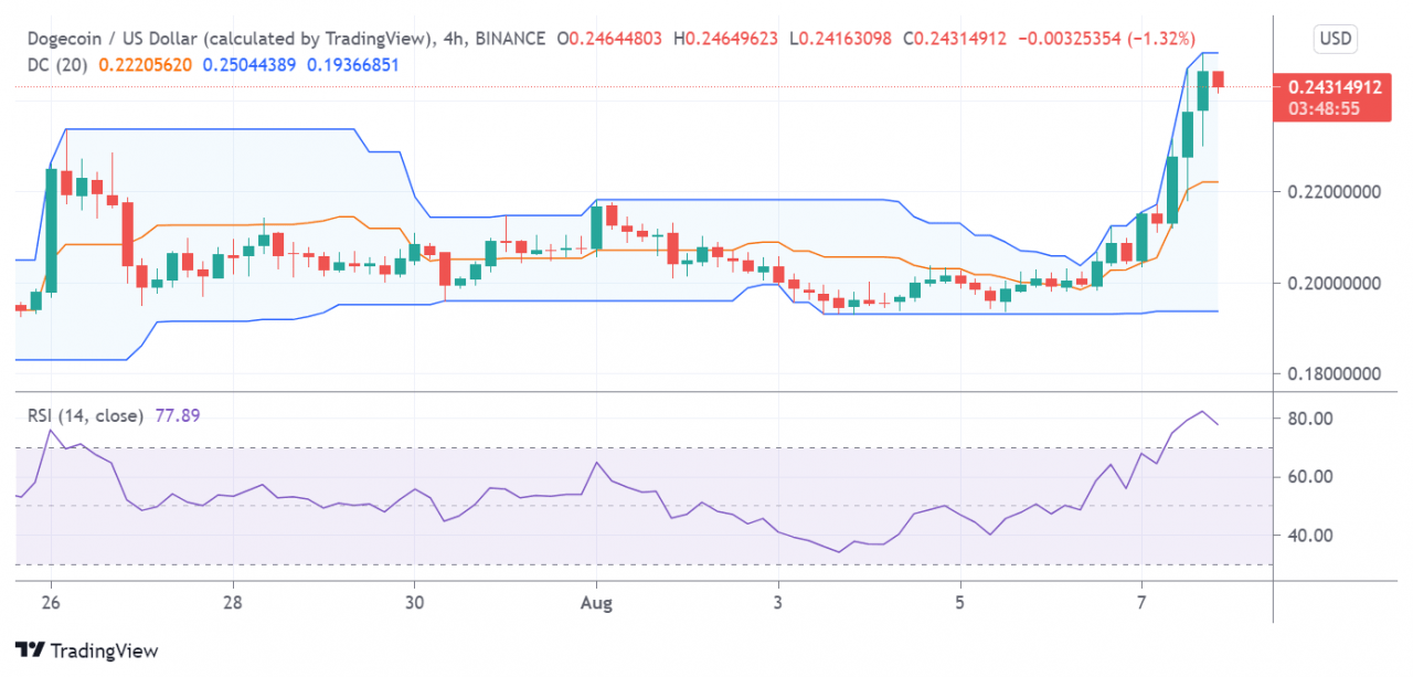 山寨币浪潮：DOGE、ICP 和 QTUM 引领今日潮流