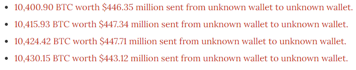 鲸鱼市场鲸鱼，鲸鱼跟随金钱，最新的鲸鱼动作令人瞠目结舌