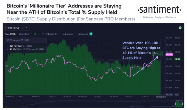 鲸鱼市场鲸鱼，鲸鱼跟随金钱，最新的鲸鱼动作令人瞠目结舌