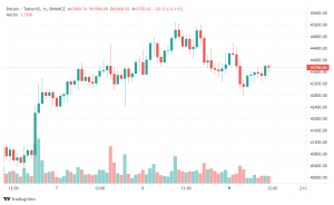 比特币百万富翁比特币地址没有从 45,000 美元中获利 他们的期望是什么？