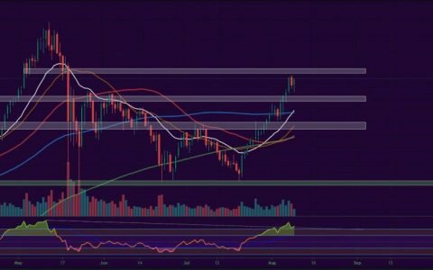 比特币、以太币、主要山寨币——每周市场更新 2021 年 8 月 9 日
