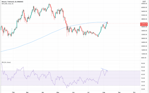 比特币 (BTC) 2021 年 8 月 8 日 – 45,310 美元成为当地最高价