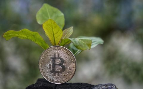 巴西：第一个 “绿色” 比特币ETF推出