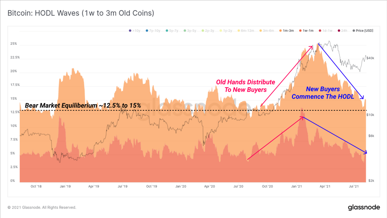 随着超过 100 万美元的 BTC 交易飙升，大型持币者将比特币增持到 5 万美元以下