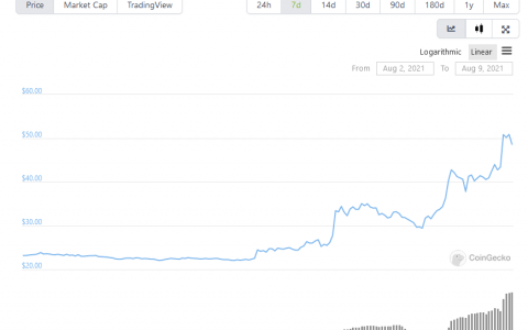 莱昂内尔·梅西（不由自主地）炸开了这种加密货币的价格