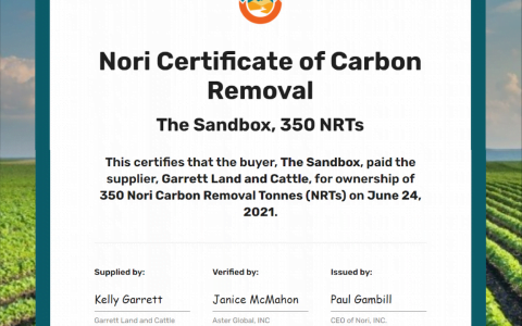 Sandbox 宣布访问 Polygon 侧链，绿色环保