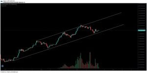 山寨币 这是受欢迎的交易者提请注意的 5 种山寨币