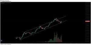 山寨币 这是受欢迎的交易者提请注意的 5 种山寨币