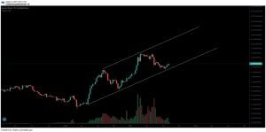 山寨币 这是受欢迎的交易者提请注意的 5 种山寨币