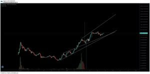 山寨币 这是受欢迎的交易者提请注意的 5 种山寨币