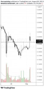 根据著名分析师的说法，这种山寨币的表现将超过比特币