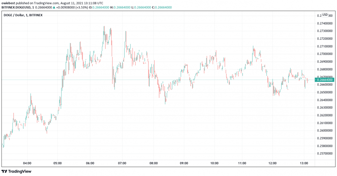 很快你就可以用狗狗币购买太空广告空间