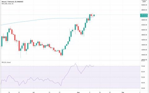 比特币 (BTC) 2021 年 8 月 11 日 – 巅峰之战