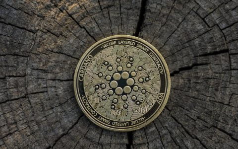 卡尔达诺表现优于前 50 名——智能合约的日期已经确定