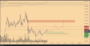 著名分析师这里是进入著名分析师雷达的山寨币和他认为适合购买的级别