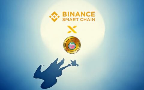 币安智能链宣布上线BEP20 – SLP