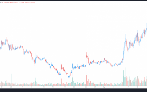 温狗币MOON？ 链上数据和交易量即将显示
