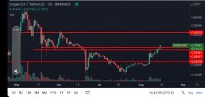 加密货币 关注这些加密货币 看涨信号非常强烈。