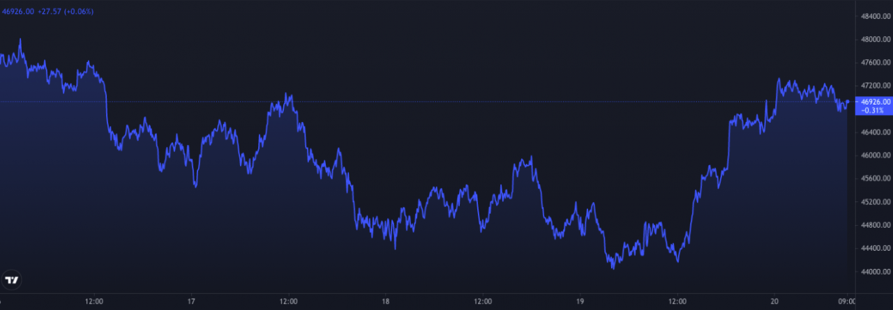 交易老手彼得布兰特警告虚假涨势