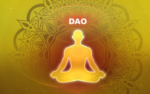 新手入门必读| 带你看懂「去中心化自治组织」（DAO）的中庸之道