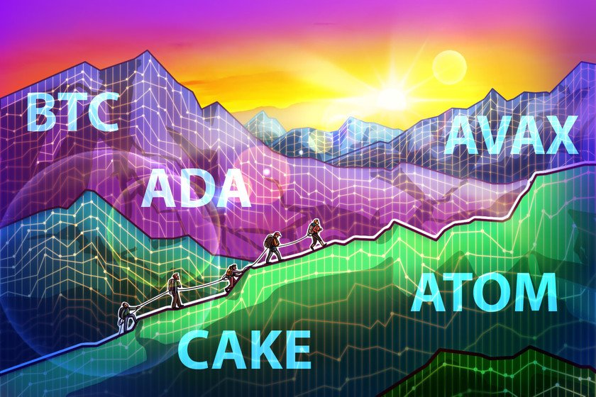 本周最值得关注的 5 大加密货币：BTC、ADA、AVAX、CAKE、ATOM