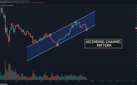 Uniswap 价格预测 – UNI 价格会在 2021 年达到 60 美元吗？