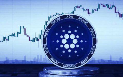 用户规模攀升、币价年内飙涨1400% ADA 何以成「妖币」？