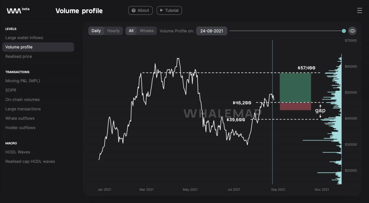 WhaleMap 数据显示支撑位在 46,200 美元，下行压力不大至 57,400 美元。