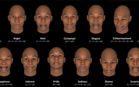 研究：人工智能无法识别人类情绪