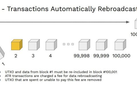 从源头解决扩容和 Infura 问题，Saito 靠的是什么？