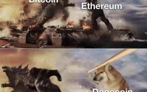 Continue Capital：解析数十亿美元土狗 SafeMoon 背后的投资逻辑