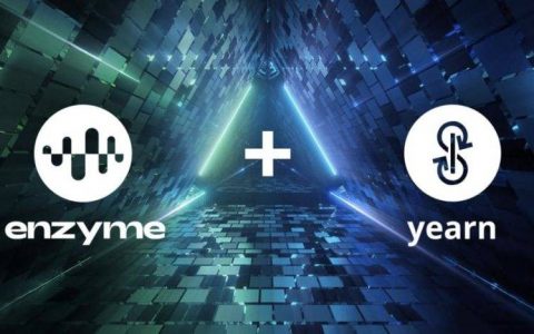 三分钟了解如何通过 Enzyme Finance 管理 Yearn 机枪池
