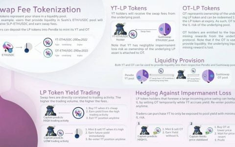 D1 Ventures：如何用 Pendle 对冲无常损失风险？