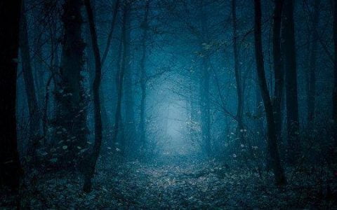 Messari：解读 KeeperDAO 工作机制，如何应对 MEV 挑战？