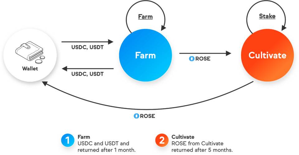 参与隐私计算平台 Oasis Network 撸币活动全攻略