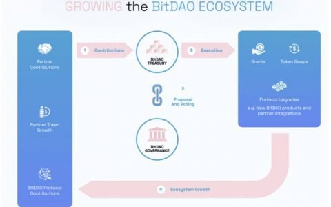 Pantera 合伙人解读 BitDAO：推动加密技术采用的 DAO 资金库