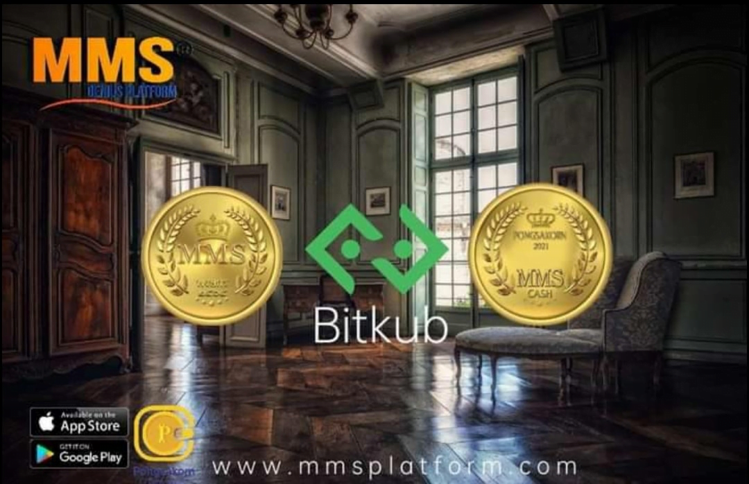 什么是 MMS Coin，为什么投资者应该远离？ 冒充知名交易网站名称后