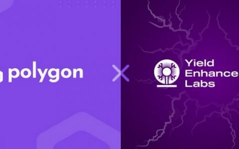 新Avalanche桥和 Yel.Finance 在 Polygon 上发布