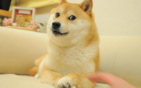 速览 NFT 生态进展：SuperRare 推出新功能，SushiSwap 入局 NFT 平台