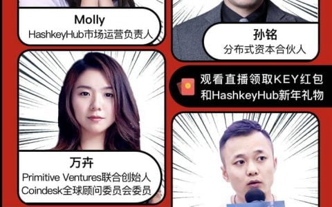 分布式资本孙铭与 Primitive 万卉等聊比特币与 DeFi 趋势