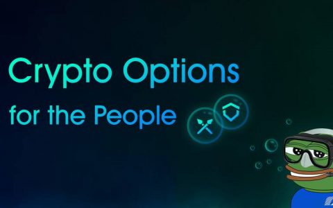 手把手教你在 Divergence 上交易期权