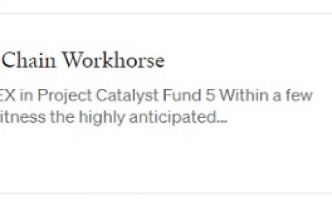 一文看懂全球社区如何“拷问”Ergo团队