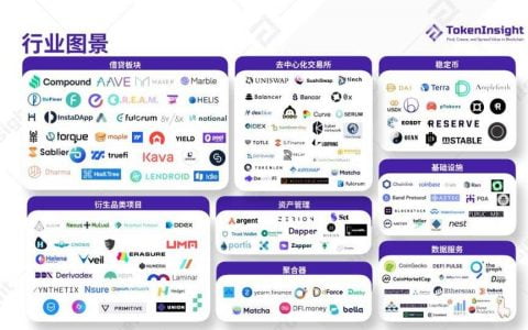 TokenInsight：纵览 2020 年 DeFi 行业发展图景