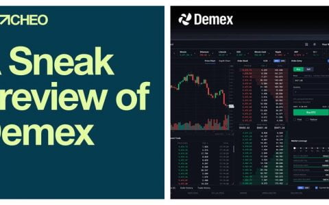 Simetri 付费报告精选：NEO 生态首个去中心化交易所 Switcheo 为本月最值得关注项目