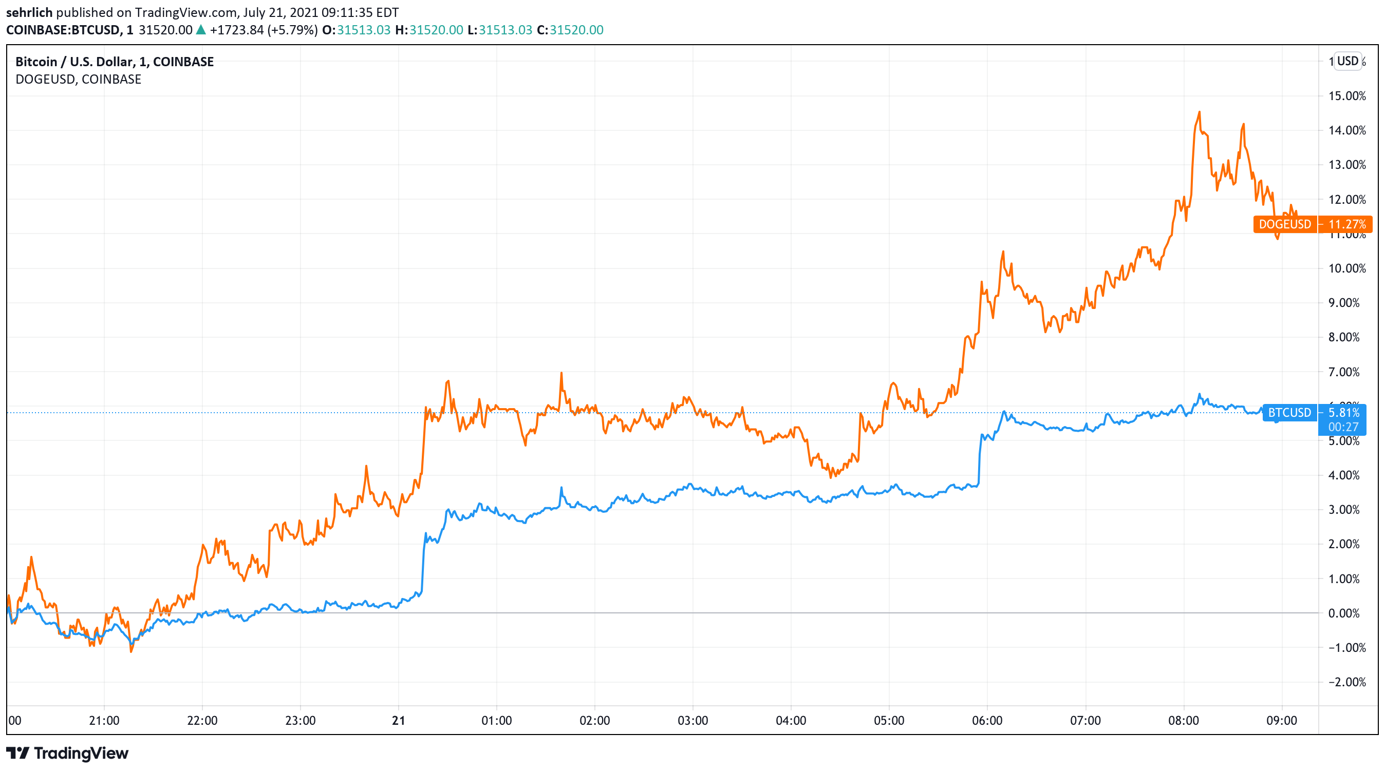 Steven Ehrlich 的狗狗币和比特币K线走势图