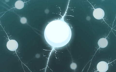 神经网络找到了梅西的替代品，小米推出了预算机器人和其他来自 AI 世界的新闻